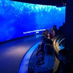 f44da300-a0be-41fb-aaa4-67a0384a4794